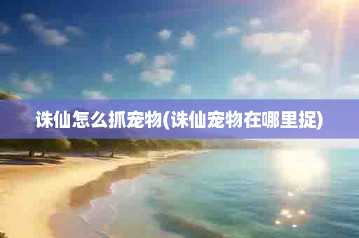 诛仙怎么抓宠物(诛仙宠物在哪里捉)