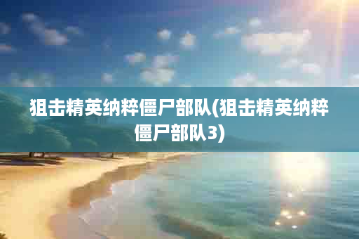狙击精英纳粹僵尸部队(狙击精英纳粹僵尸部队3)
