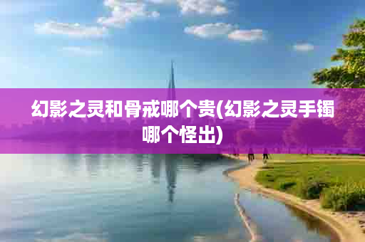 幻影之灵和骨戒哪个贵(幻影之灵手镯哪个怪出)