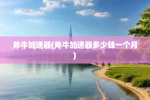 斧牛加速器(斧牛加速器多少钱一个月)
