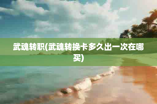 武魂转职(武魂转换卡多久出一次在哪买)