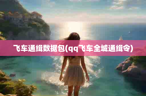 飞车通缉数据包(qq飞车全城通缉令)