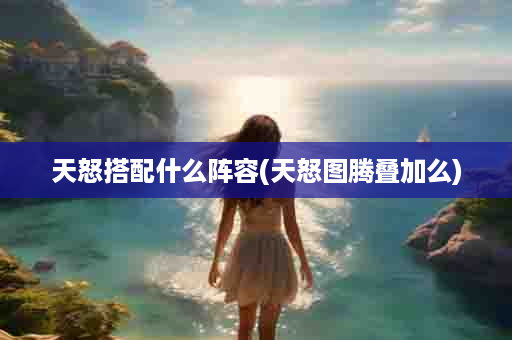 天怒搭配什么阵容(天怒图腾叠加么)