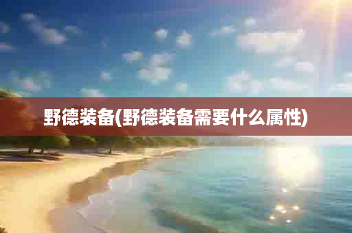 野德装备(野德装备需要什么属性)