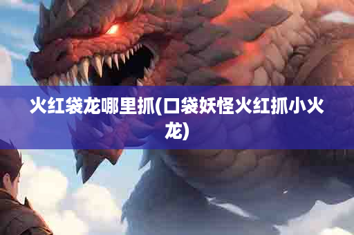 火红袋龙哪里抓(口袋妖怪火红抓小火龙)
