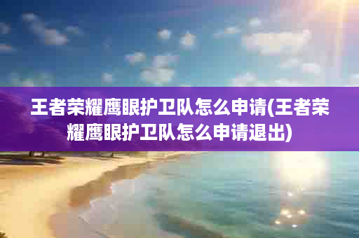 王者荣耀鹰眼护卫队怎么申请(王者荣耀鹰眼护卫队怎么申请退出)