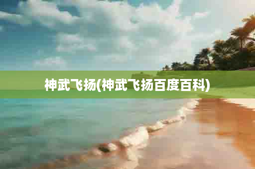 神武飞扬(神武飞扬百度百科)
