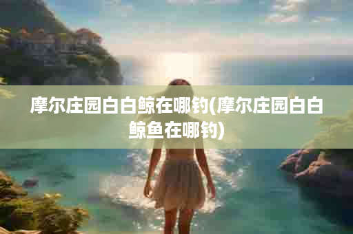摩尔庄园白白鲸在哪钓(摩尔庄园白白鲸鱼在哪钓)