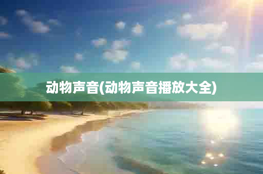 动物声音(动物声音播放大全)