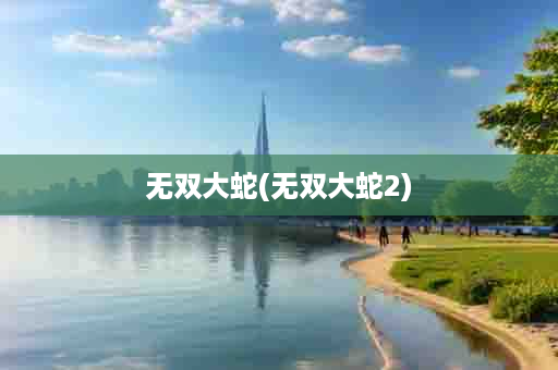 无双大蛇(无双大蛇2)