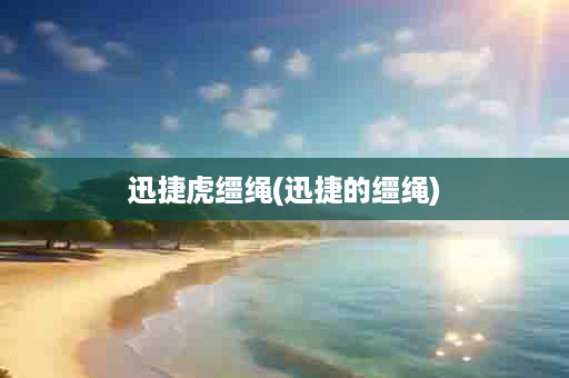 迅捷虎缰绳(迅捷的缰绳)