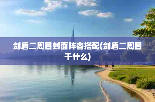 剑盾二周目封面阵容搭配(剑盾二周目干什么)