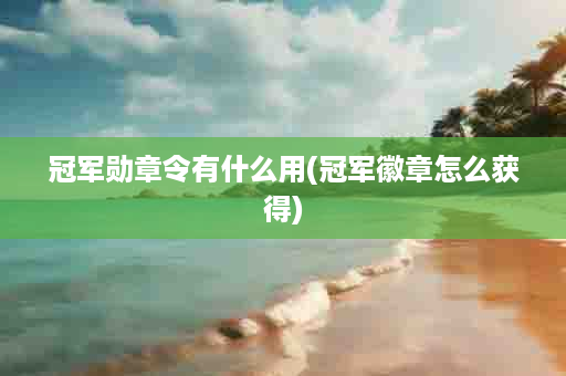 冠军勋章令有什么用(冠军徽章怎么获得)