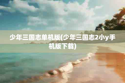 少年三国志单机版(少年三国志2小y手机版下载)