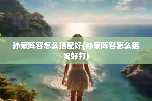 孙策阵容怎么搭配好(孙策阵容怎么搭配好打)