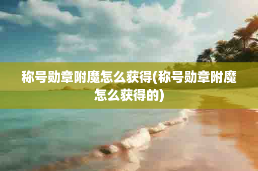 称号勋章附魔怎么获得(称号勋章附魔怎么获得的)