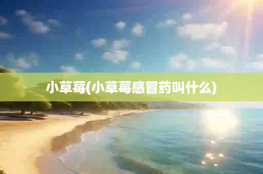 小草莓(小草莓感冒药叫什么)