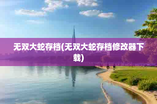 无双大蛇存档(无双大蛇存档修改器下载)