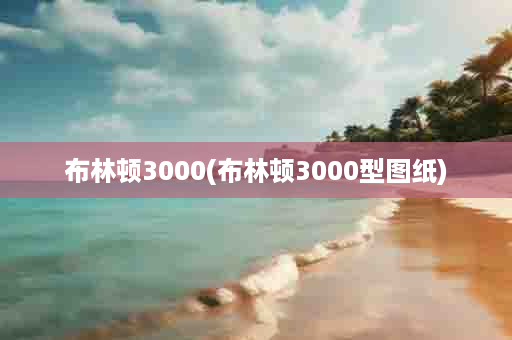 布林顿3000(布林顿3000型图纸)