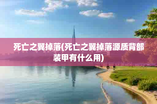 死亡之翼掉落(死亡之翼掉落源质背部装甲有什么用)