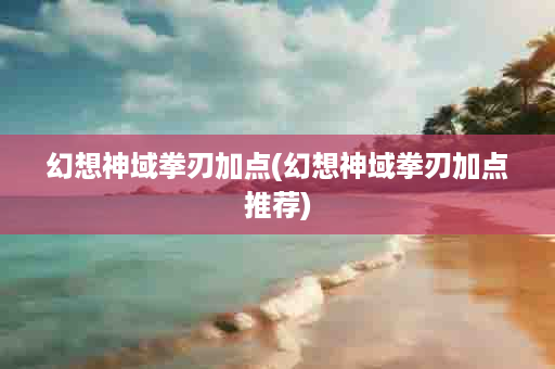 幻想神域拳刃加点(幻想神域拳刃加点推荐)