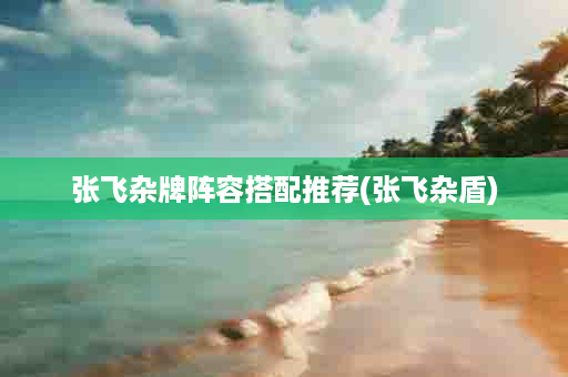 张飞杂牌阵容搭配推荐(张飞杂盾)