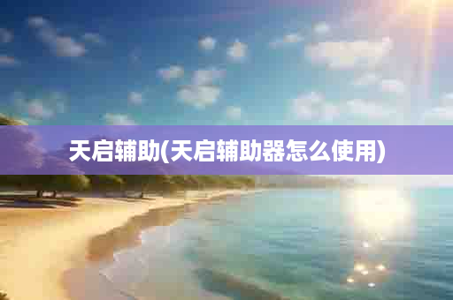 天启辅助(天启辅助器怎么使用)