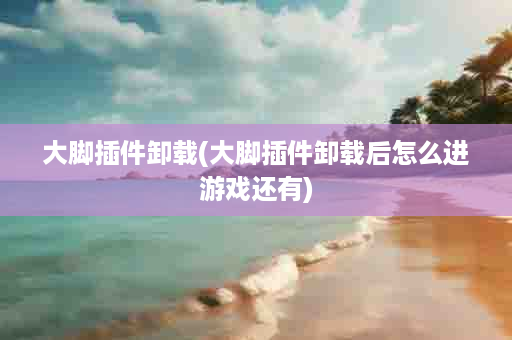 大脚插件卸载(大脚插件卸载后怎么进游戏还有)