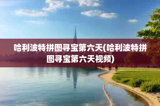 哈利波特拼图寻宝第六天(哈利波特拼图寻宝第六天视频)