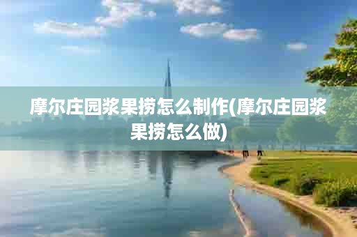 摩尔庄园浆果捞怎么制作(摩尔庄园浆果捞怎么做)