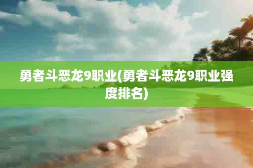 勇者斗恶龙9职业(勇者斗恶龙9职业强度排名)