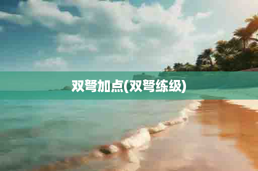 双弩加点(双弩练级)