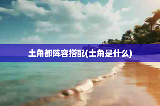 土角都阵容搭配(土角是什么)