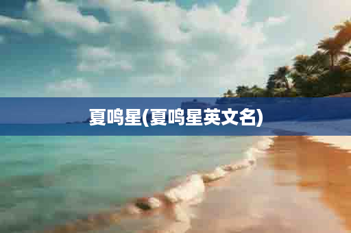 夏鸣星(夏鸣星英文名)