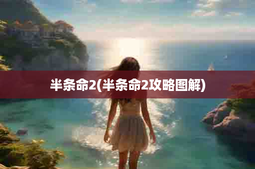 半条命2(半条命2攻略图解)