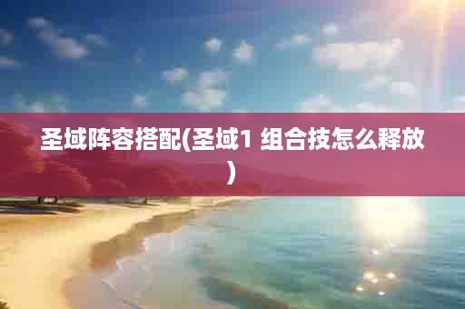 圣域阵容搭配(圣域1 组合技怎么释放)