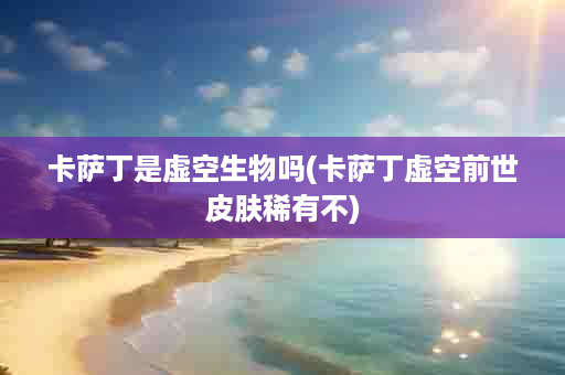 卡萨丁是虚空生物吗(卡萨丁虚空前世皮肤稀有不)