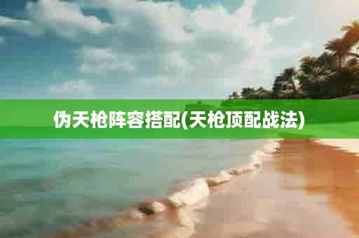 伪天枪阵容搭配(天枪顶配战法)