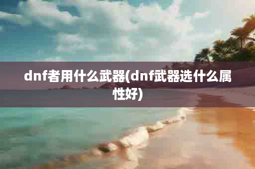 dnf者用什么武器(dnf武器选什么属性好)